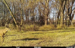 US Bypass 20, FREEPORT, IL 61032