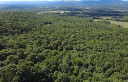 Unk Timber Lane, Mena, AR 71953