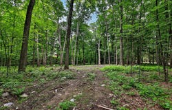Cedar Lane lot: #2, Mendon, VT 05701