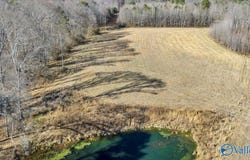 95 County Road 970, Logan, AL 35098