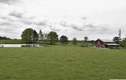396 HOLLEY MILL ROAD, ECLECTIC, AL 36024