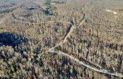 Mill Creek Rd, Sunbright, TN 37872