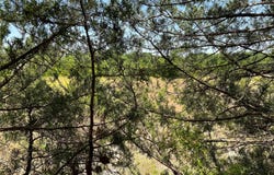 11AC Pilot Grove Road, Whitewright, TX 75491