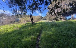 Sobrante Ave, El Sobrante, CA 94803