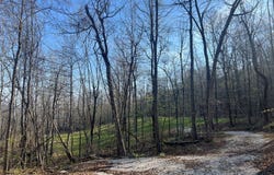 TBD-H NC 6827, Jasper, AR 72641