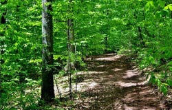 Co Hwy 48, Oneonta, NY 13820