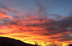 29310 Devils Punch Bowl Rd, Pearblossom, CA 93553
