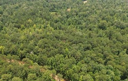 County Rd 34, Hurtsboro, AL 36860