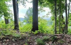 State Highway 80, Springfield Center, NY 13468