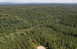 Contuck Lane, Mill Spring, NC 28756