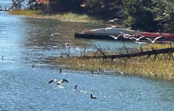 174 Hill Road, Bath, ME 04530