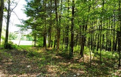 Stoneville, NC 27048
