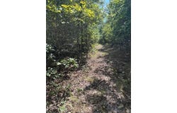 Ross Hollow, Roland, AR 72223
