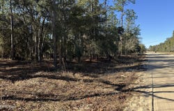 131 SPRING LAKE Drive, Interlachen, FL 32148