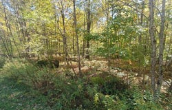 28 Bridle Way, Equinunk, PA 18417