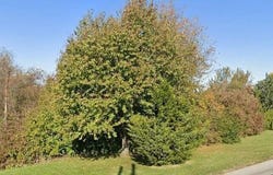 Brentlinger Road, Harrod, OH 45850