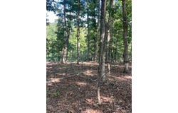 183 Madison CR 410, Fredericktown, MO 63645