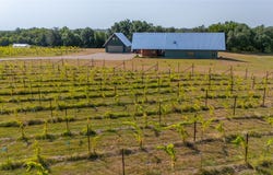 25270 E State Highway 6, Hico, TX 76457