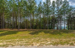 Split Rail Way lot: 1358, Guild, TN 37340