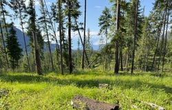 22 Flatiron Way, Thompson Falls, MT 59873
