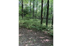 Maple Leaf Drive, Dillard, GA 30537