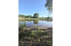 1035 Co Rd 104, BRUNDIDGE, AL 36010