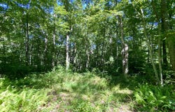 86 Seagraves Road, Coventry, CT 06238