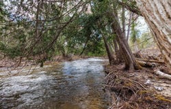 8993 S Straits Highway, Wolverine, MI 49799