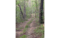 1070 Brewer Road, Edgemont, AR 72044-9999