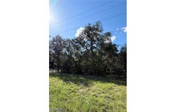 NE 106th Terrace, Williston, FL 32621