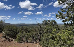 Palomino Dr, Williams, AZ 86046