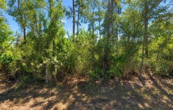 902 E 15TH Street, LEHIGH ACRES, FL 33972