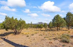823 Highland View Loop, Redmond, OR 97756