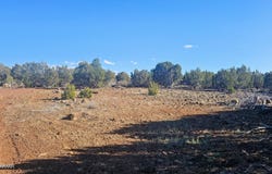9383 Bald Eagle Road, Show Low, AZ 85901