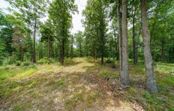 Antioch Road, Cave City, AR 72521