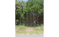 Ben Nevis, Briarcliff, AR 72653
