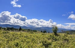 27 MOONLIGHT Dr, CURLEW, WA 99118