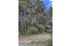 1 Acre Crestview/US Highway 10, Reed City, MI 49677