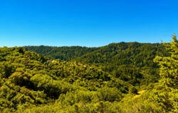 00 Ambrose RD, SARATOGA, CA 95070