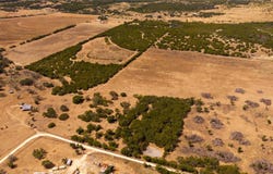 County Road 2644, Lometa, TX 76853