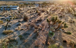 Saddleback Road, Joshua Tree, CA 92252