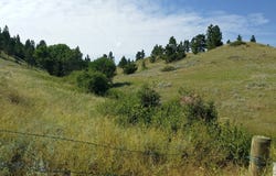 NHN Lone Rock Canyon Lane, Hysham, MT 59038