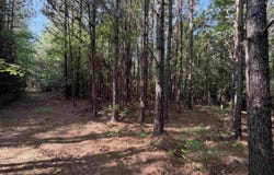 52 Hwy 160, Hermitage, AR 71647