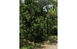5343 Sam Bass, Log Cabin, TX 75074