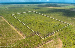 COUNTY ROAD 229, Sanderson, FL 32087