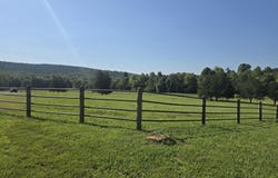 10708 Mt Hester Rd, Cherokee, AL 35616