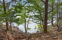 Alyeska Point Road, Lampe, MO 65681