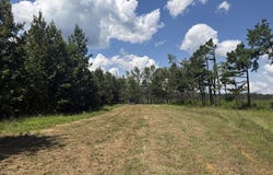 Country Road 428, PARIS, MS 38949