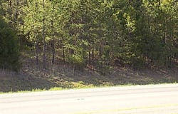 Hwy 65, Greenbrier, AR 72058