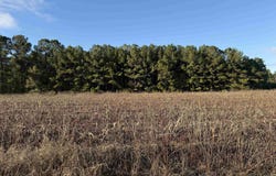 Thomas Dr., Kingstree, SC 29556